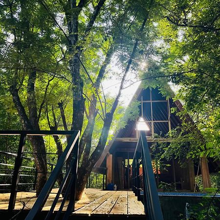 Habarana Tree House Mutu Village エクステリア 写真