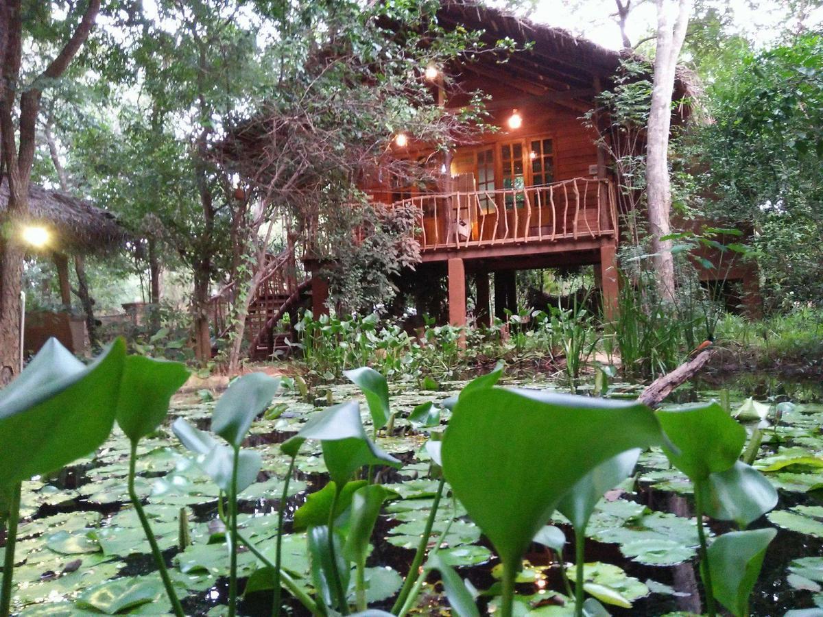 Habarana Tree House Mutu Village エクステリア 写真