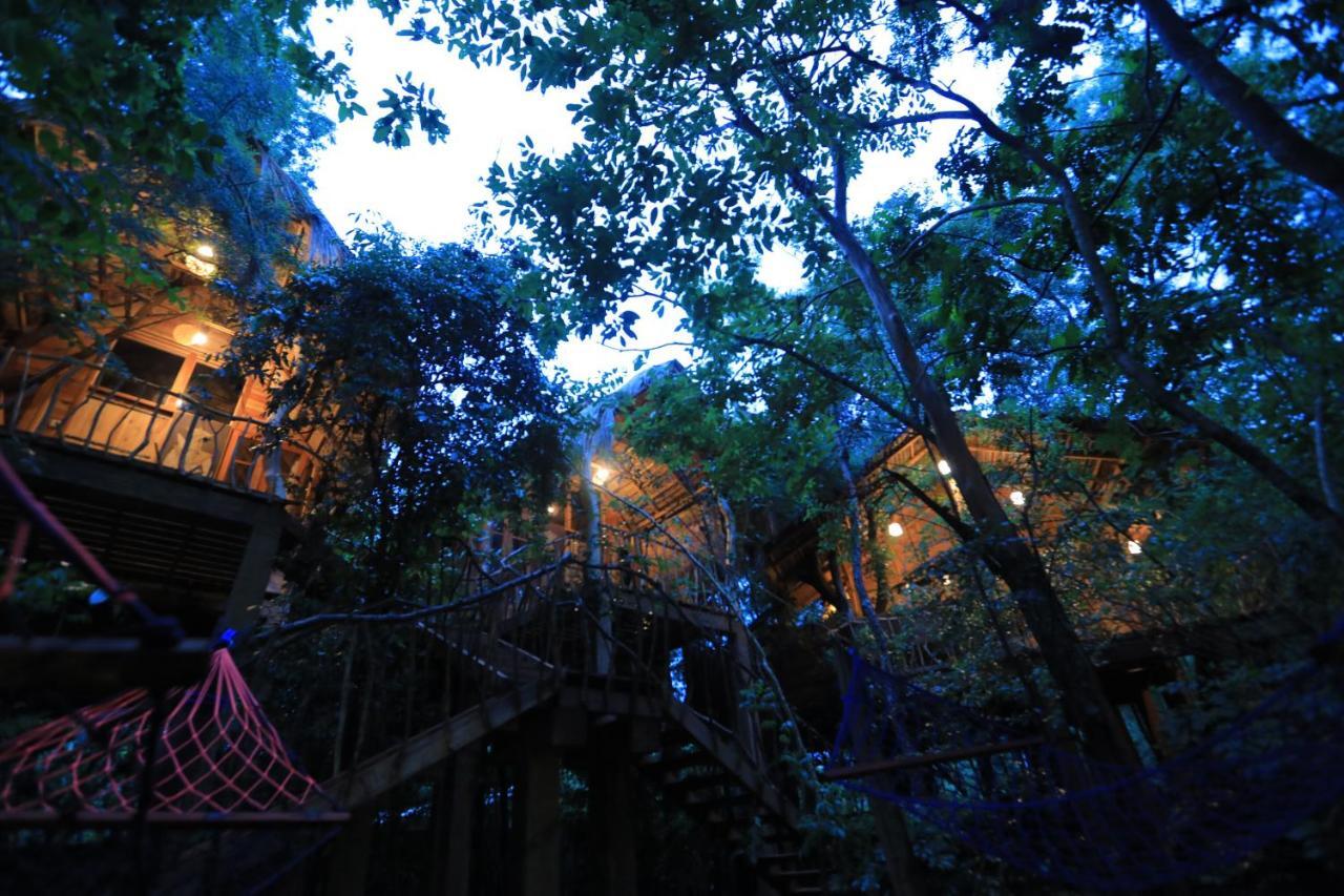 Habarana Tree House Mutu Village エクステリア 写真