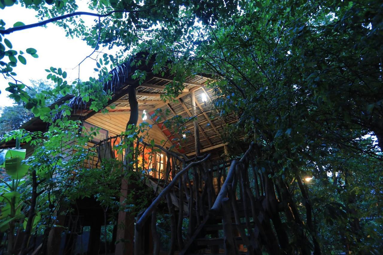 Habarana Tree House Mutu Village エクステリア 写真
