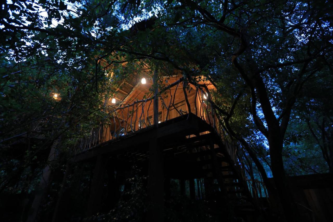 Habarana Tree House Mutu Village エクステリア 写真