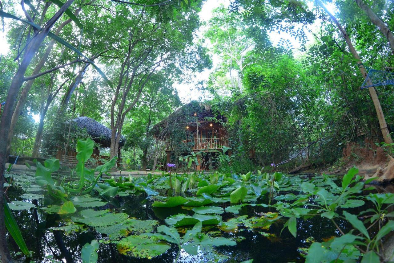 Habarana Tree House Mutu Village エクステリア 写真